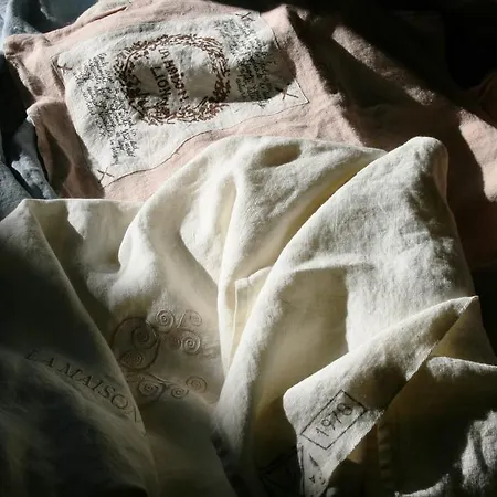 La Maison Lion 3* Cesiomaggiore