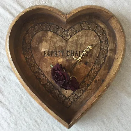 住宿加早餐酒店 La Maison Lion 3*