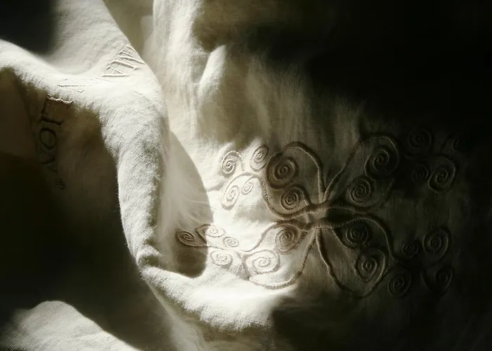 La Maison Lion Bed & Breakfast 3*