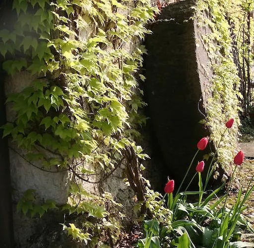 Bed & Breakfast La Maison Lion