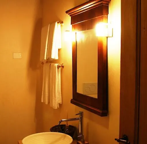 Bed & Breakfast La Maison Lion