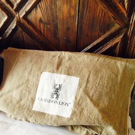Bed & Breakfast La Maison Lion *