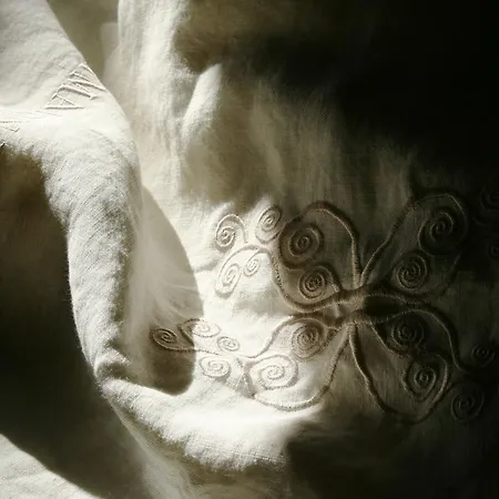 La Maison Lion Bed & Breakfast *