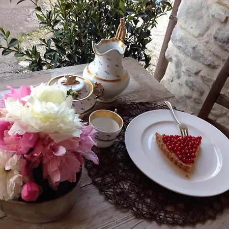 Bed & Breakfast La Maison Lion Cesiomaggiore