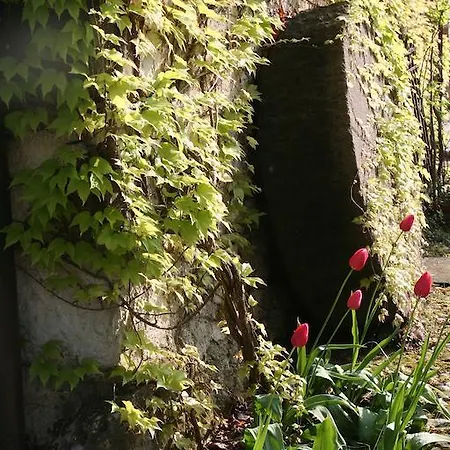 Bed & Breakfast La Maison Lion