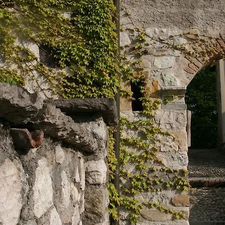 La Maison Lion