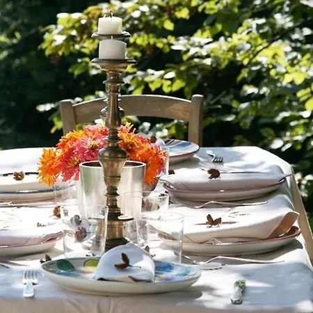 Bed & Breakfast La Maison Lion *