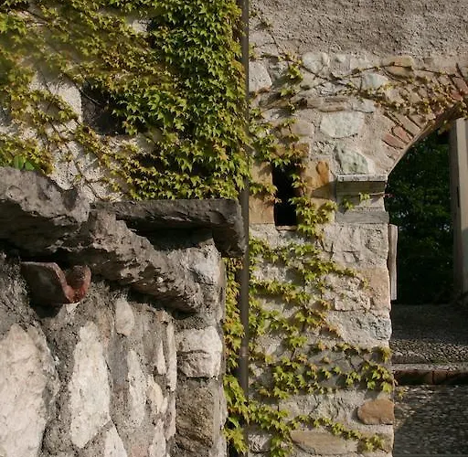 La Maison Lion